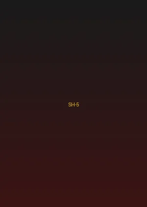 四虎 - 红尘客栈海报